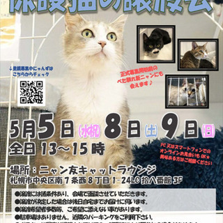 【札幌】保護猫の譲渡会（5日・8日・9日）