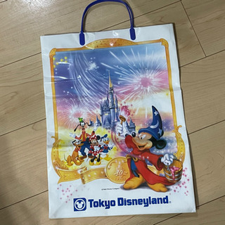 ディズニーランド   10周年記念 ショッピングバッグ   大