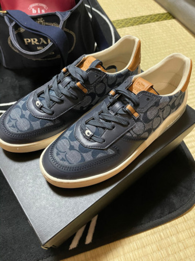 coach靴　期間限定カラー新品