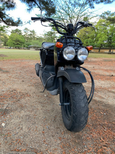 ZOOMER ズーマー50