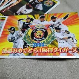 2003年阪神タイガース優勝記念写真です
