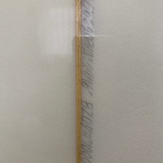 sehaper ファンボード　ギグバック&リーシュ、小物付き