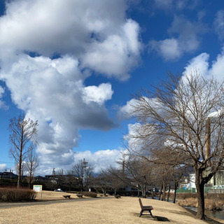 阿木川公園リハビリ仲間募集(*'▽'*)