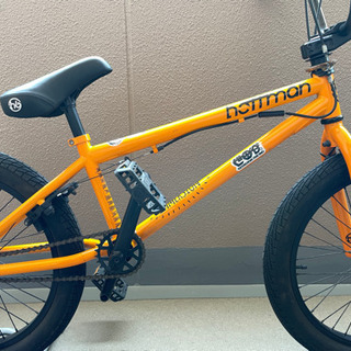 HOFFMAN BIKES Immersion
