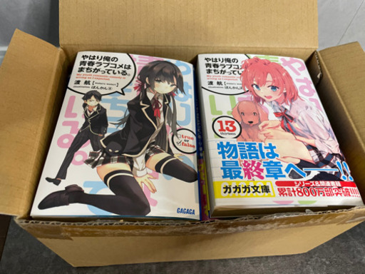 小説:やはり俺の青春ラブコメは間違っている。