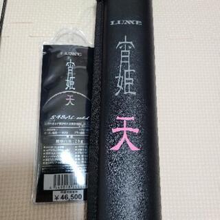 ラグゼ宵姫天S48