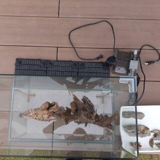 60センチ水槽セット(コトブキ)