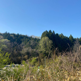 【ネット決済】山林.原野.不動産。白石市.蔵王町.売ってください。