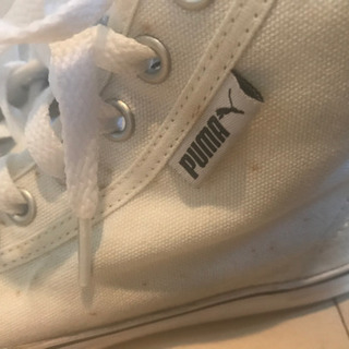 PUMA