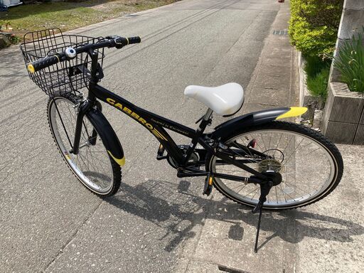 秋田 自転車