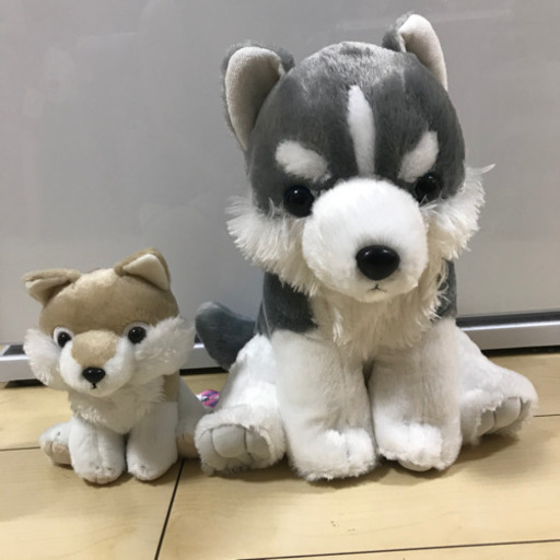 もふっとオオカミ ぬいぐるみ A Tan 吉野町のおもちゃ ぬいぐるみ の中古あげます 譲ります ジモティーで不用品の処分