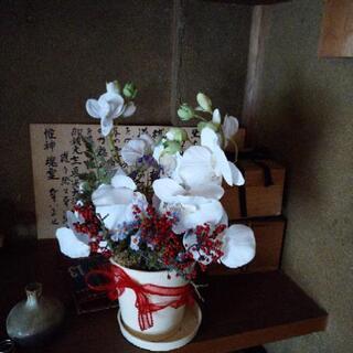 お譲り先決まりました。無料。胡蝶蘭の造花です