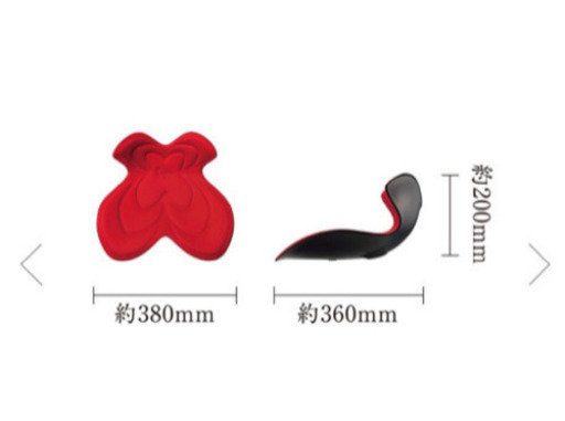 スタイルバタフライ　style butterfly 姿勢ケアで骨盤安定