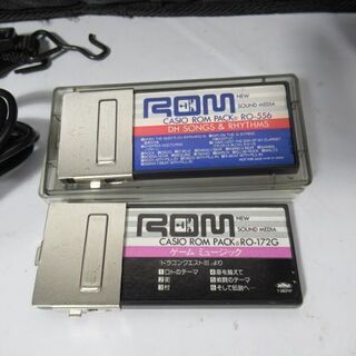 JKN2358/デジタルホーン/DIGITAL HORN/楽器/カシオ/CASIO/DH-800/RO 