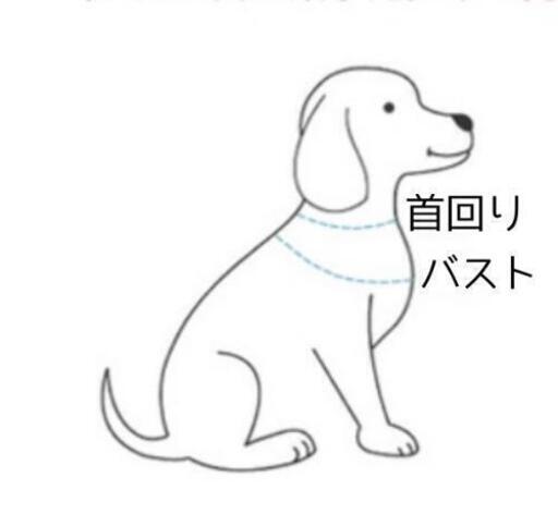 リードハーネスセットリボン犬首輪可愛いオシャレ小型犬中型犬 ひー 岐阜の子供用品の中古あげます 譲ります ジモティーで不用品の処分 リードハーネスセットリボン犬首輪可愛いオシャレ小型犬中型犬 ひー 岐阜の子供用品の中古あげます 譲ります ジモティーで不用品の処分