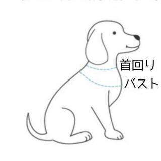 Cjx1l5nxhddxum Cjx1l5nxhddxum