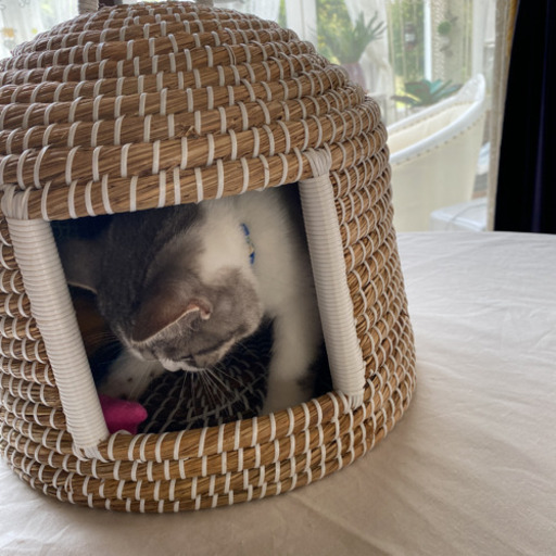 猫ちぐら(小屋) | pcspeed.com.pe