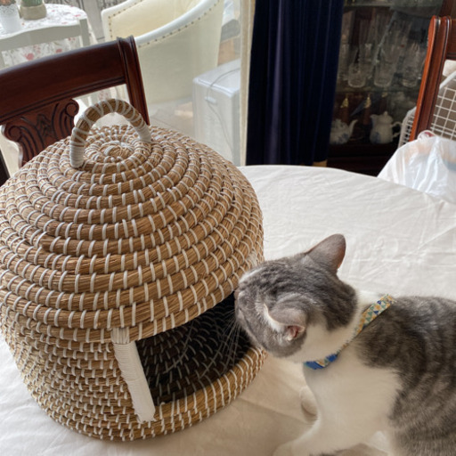 猫ちぐら(小屋) | pcspeed.com.pe