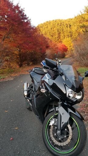 最終値下げ220000→198000Ninja250R　kawasaki　バイク