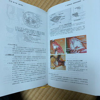 骨折　脱臼　4版　ほぼ新品　送料無料