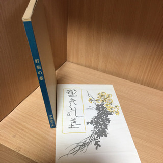 未読　本　復刻版　野菊の墓　伊藤左千夫　