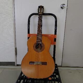 鈴木 36R ギター