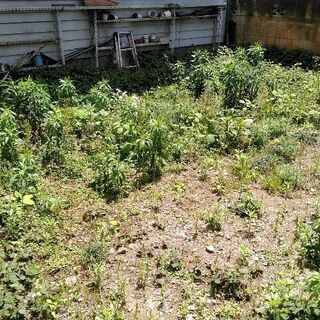 家庭菜園 住宅情報 ジモティー 家庭菜園 住宅情報 ジモティー