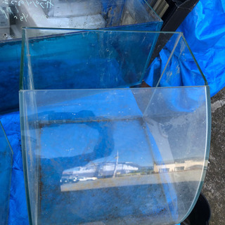 【ネット決済】テラリウム水槽 2個セット 神戸市引き取り