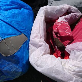 ドルフィン 52.56 2本セット ドルフィンウェッジ DW-123 クロムメッキ DP-231 メンズ 48