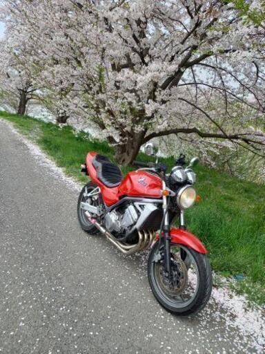 kawasaki バリオス250 一型 カワサキ