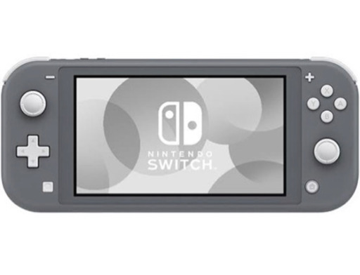 Nintendo Switch Liteグレー　モンスターハンターライズ