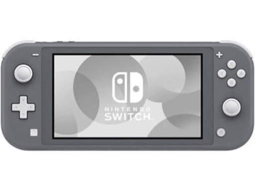 Nintendo Switch Liteグレー、モンスターハンターライズ