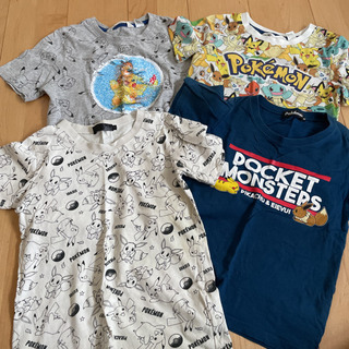 千葉県の中古ポケモンが無料 格安で買える ジモティー 千葉県の中古ポケモンが無料 格安で買える ジモティー