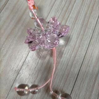 台湾ピンク水晶花