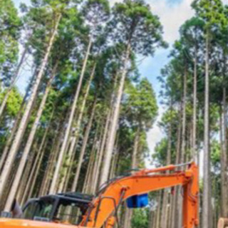 【ネット決済】山口県東部中部で伐採草刈り承ります！草刈り主に承ります！