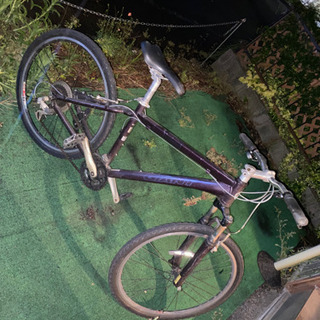 giant ジャイアント  