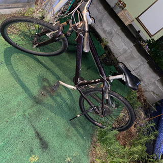 giant ジャイアント  