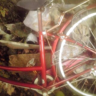 自転車　るんるん