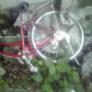 自転車　るんるん