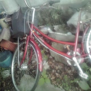 自転車　るんるん