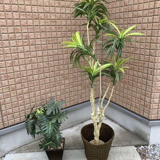 (問合せ不可→決まりました)観葉植物　人工　造花　フェイクグリーン