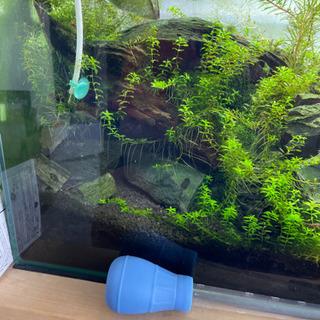 水槽まるごと