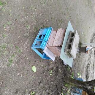 ニホンミツバチが5月の8日に文蜂しましたよかったらお譲りします