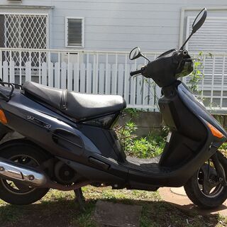 ベクスター150 実働 PCX150?250cc?125cc?? | hshn.org