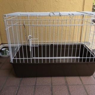 中古ケージ モルモットが無料 格安で買える ジモティー