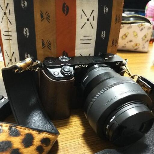 Sony a6000ミラレスカメラ、SIGMAレンズ