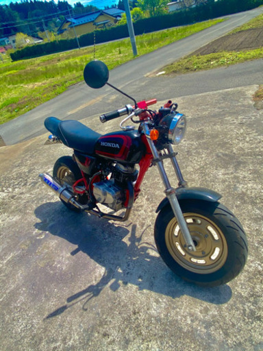 エイプ50