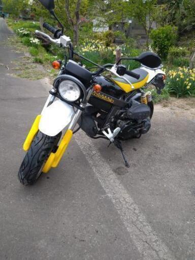 美品50cc　SUZUKI　ストリートマジック2【セル一発始動/書類つき】