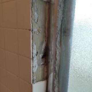 浴室の壁のタイルの修繕をお願いしたい