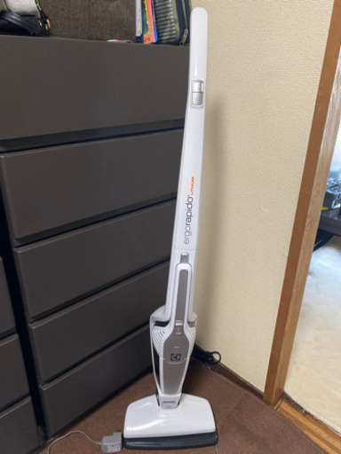掃除機　★決まりました